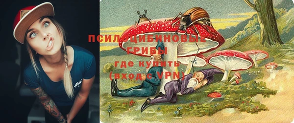 мет Богородицк