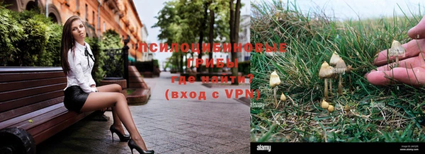 бошки Пролетарск